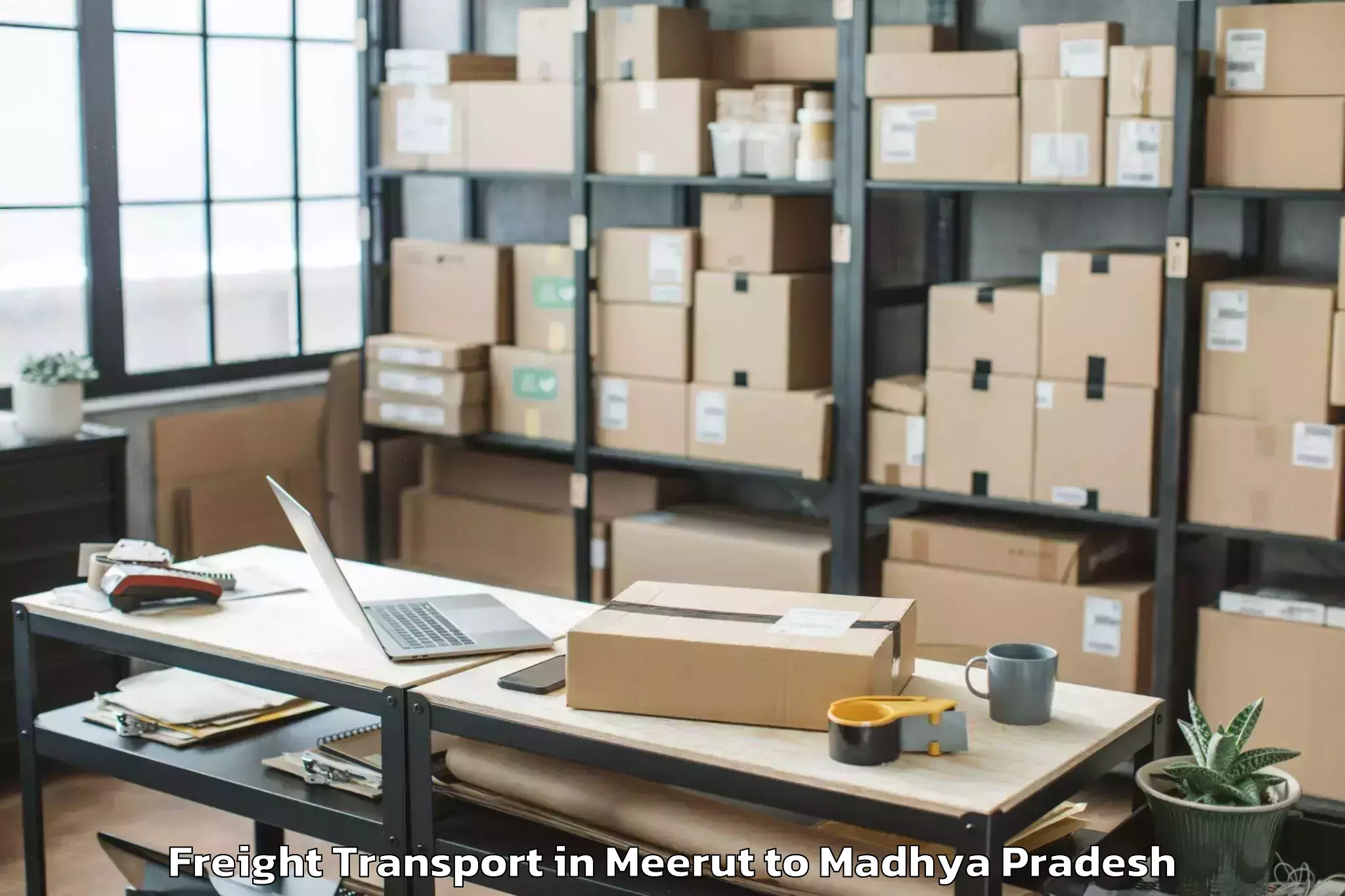 Top Meerut to Barnagar Freight Transport Available